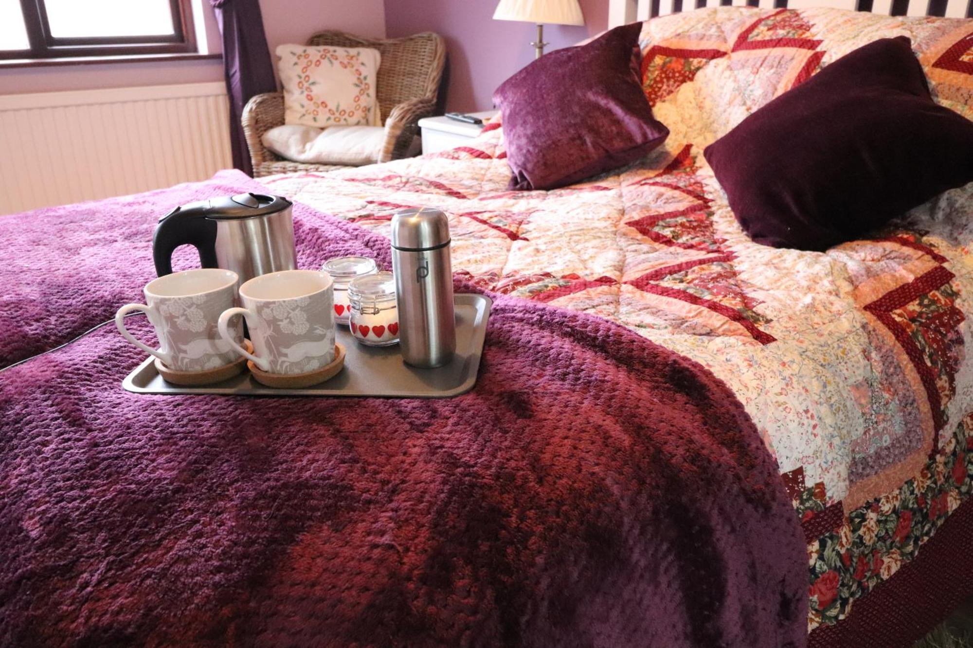 Mossvale Lodge Country House Bed And Breakfast 安特里姆 外观 照片